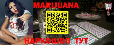 гидропоника Камышлов