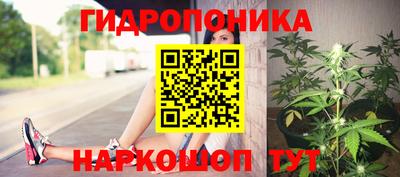гидропоника Камышлов