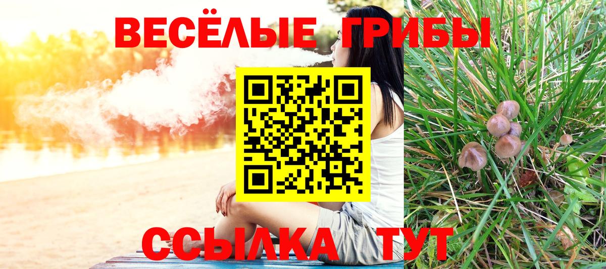 Костомукша  Галлюциногенные грибы мицелий  Вход с VPN 