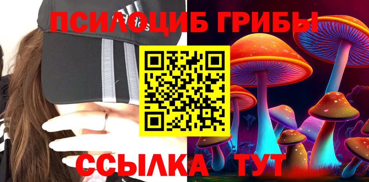 Галлюциногенные грибы GOLDEN TEACHER Костомукша